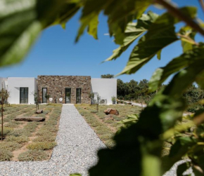 STONE VILLA NAXOS
